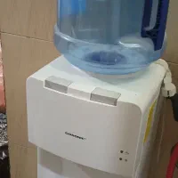 ابسردکن گاسونیک