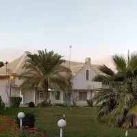 کاشت و زیباسازی باغ و حیاط با نصف قیمت