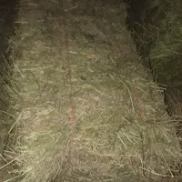 فروش یونجه