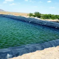 استخر کشاورزی|مصالح و تجهیزات ساختمان|کرمان, |دیوار