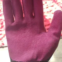 تولیدی دستکش ضد برش|لباس|اهواز, سپیدار|دیوار