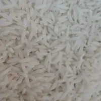 فروش برنج|خوردنی و آشامیدنی|تاکستان, |دیوار