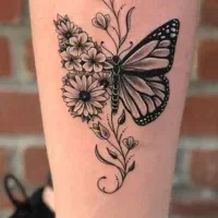 تخفیف ویژه شینون .کاشتمژه . رنگ و لایت ..ناخن|خدمات آرایشگری و زیبایی|کرج, اتحاد|دیوار