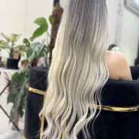 خدمات و آموزش رنگ ولایت