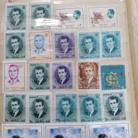 تمر کلکسیونی