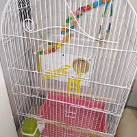 قفس پرنده بزرگ