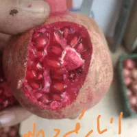 200 کیلو انار فردوس درجه یک قیمت مناسب