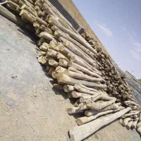 خرید و فروش انواع چوب