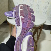 کفش|کیف، کفش، کمربند|بیرجند, |دیوار