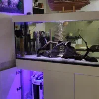 اکواریوم ریملس سوپر کلیر