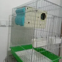 قفس کاسکویی بزرگ و کوچک با لانه و لوازم|لوازم جانبی حیوانات|همدان, |دیوار