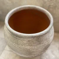 گلدان سفالی (کوزه ای/خمره ای)|گل و گیاه طبیعی|تهران, قبا|دیوار
