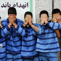 وکیل اسناد تجاری، دعاوی حقوقی و سرقت|خدمات مالی، حسابداری، بیمه|تهران, شمیران‌نو|دیوار