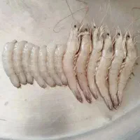 میگو دریایی تازه