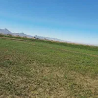 کود فسفر مایع معجزه گر