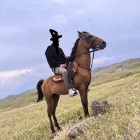 اسب
