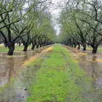 دو ساعت آب چاه موتور راه هوجقان