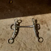 دهنه اسب|اسب و تجهیزات اسبسواری|ریگان, |دیوار