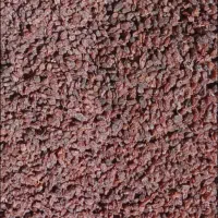 کشمش آفتابی پلویی