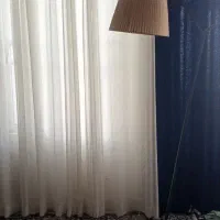 آباژور سالم و زیبا