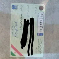 گمشده.گمشده