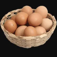 تخم مرغ محلی تازه