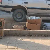 پژو405فروشی|خودرو سواری و وانت|ایرانشهر, |دیوار