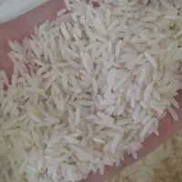 برنج درجه ۱ شمال هاشمی طارم گرگان فجر کشت دوم|خوردنی و آشامیدنی|تهران, شیوا|دیوار