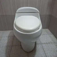 فرنگی