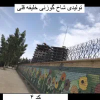 تولید نرده حفاظ شاخ گوزنی خلیفه قلی|مصالح و تجهیزات ساختمان|قم, میرزائیه|دیوار