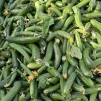 ارسال خیار سبز نوبر از هشتبندی میناب|خوردنی و آشامیدنی|تهران, مخصوص|دیوار