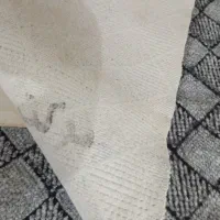 سه تا موکت دوازده متری|موکت|دزفول, |دیوار