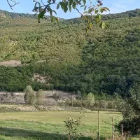 در بهشت روی زمین خانه بسازید .|فروش زمین و ملک کلنگی|گلوگاه, |دیوار