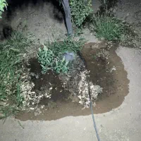 1000متر زمین کشاورزی|فروش زمین و ملک کلنگی|شاهینشهر, بوستان حافظ|دیوار