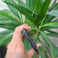 موتورولا Moto G73 رم ۸ حافظه ۲۵۶|موبایل|مشهد, بهشت|دیوار