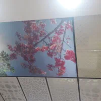 اجرای انواع سقف کاذب .تایل ۶۰×۶۰.کناف .سقف کشسان|خدمات پیشه و مهارت|برازجان, |دیوار