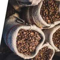 فروش قهوه روبستا ۱۰۰ بابالاترین کیفیت استان گیلان
