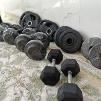 وسایل بدنسازی|تجهیزات ورزشی|ثلاث باباجانی, |دیوار