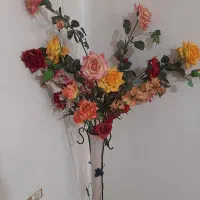 گل رنگی