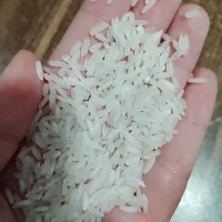 برنج خوش پخت اقتصادی