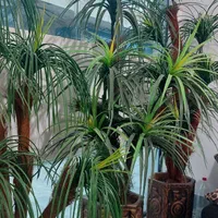 درختچه گل مصنوعی  نخل سه عدد با گلدان بزرگ