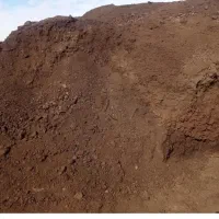 کودگاوی