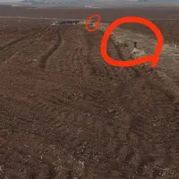 فروش زمینی زراعی آدینان