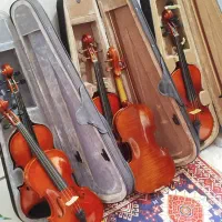 ویولون نو و درحدنو|ویولن|شیراز, مسلم|دیوار