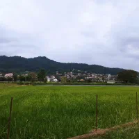 فروش قسطی زمین در شیرگاه