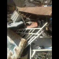 سگ نژاد دار