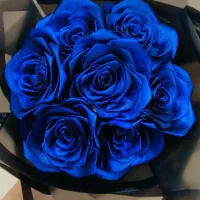 گل روبانی و پروانه‌ای نور دار برای تمامی مناسبت ها|گل مصنوعی|ایلام, |دیوار