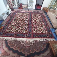 دوجفت هریس کرم ریزبافت|فرش|اردبیل, |دیوار