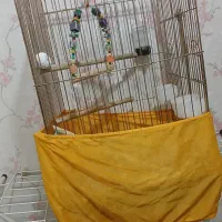 قفس پرنده|لوازم جانبی حیوانات|اسلامشهر, مظفریه|دیوار