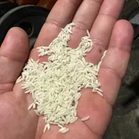 برنج هاشمی
